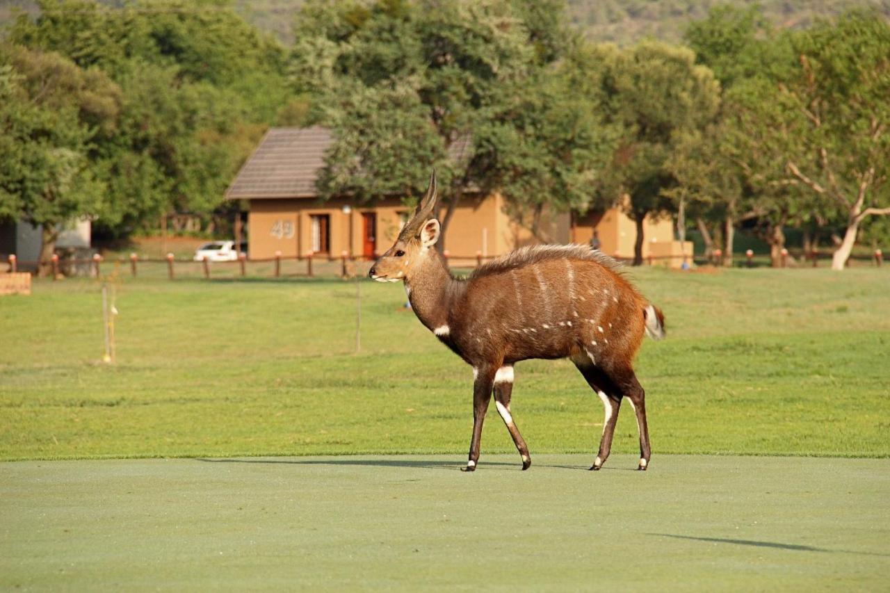 ホテル First Group Magalies Park ハートビーズポート エクステリア 写真
