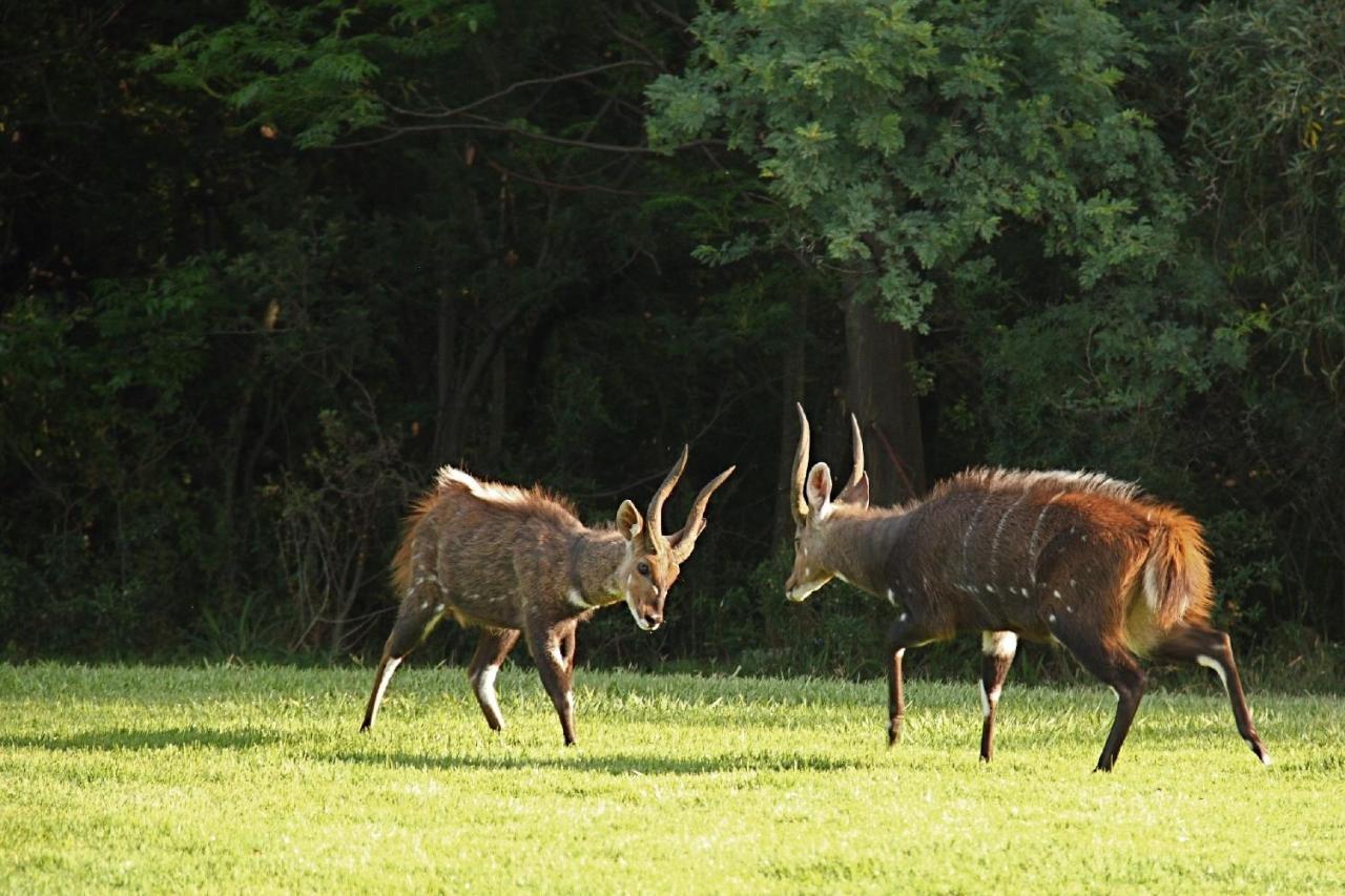ホテル First Group Magalies Park ハートビーズポート エクステリア 写真